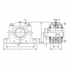 SAF22517C3-TOR